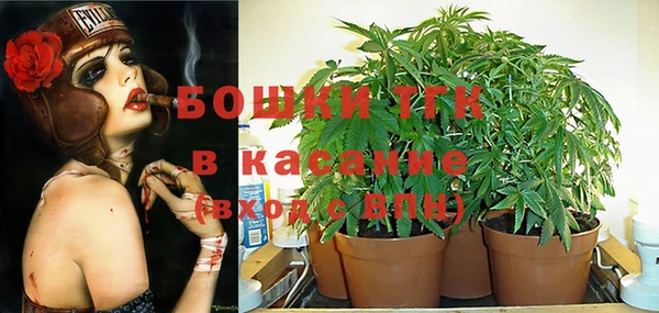дурь Дмитров