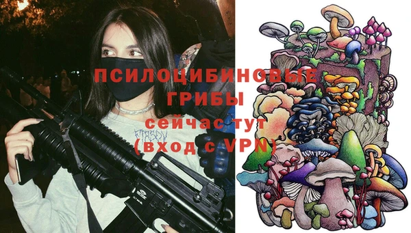 дурь Дмитров