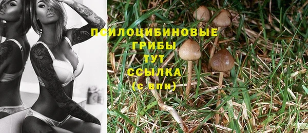 MDMA Premium VHQ Дмитриев